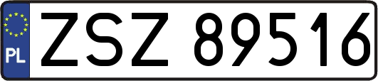ZSZ89516