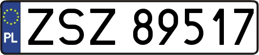 ZSZ89517