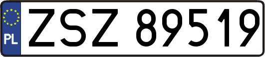 ZSZ89519