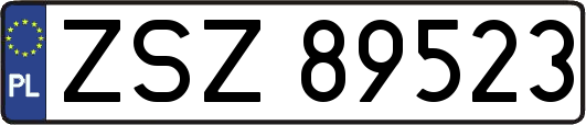 ZSZ89523