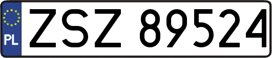 ZSZ89524
