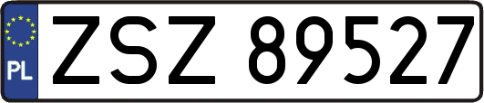 ZSZ89527
