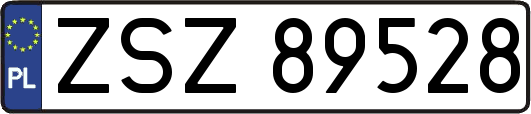 ZSZ89528
