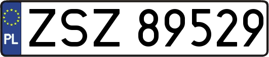 ZSZ89529
