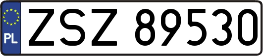 ZSZ89530
