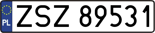 ZSZ89531