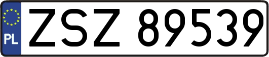 ZSZ89539