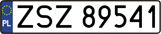 ZSZ89541