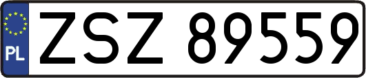 ZSZ89559
