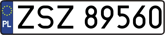 ZSZ89560