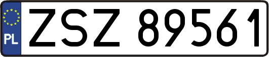 ZSZ89561