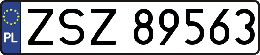 ZSZ89563