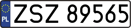ZSZ89565