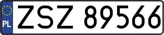 ZSZ89566