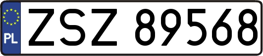 ZSZ89568