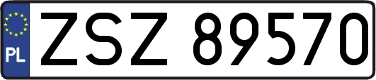 ZSZ89570