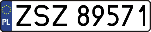 ZSZ89571