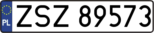 ZSZ89573