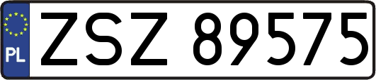 ZSZ89575