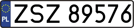 ZSZ89576