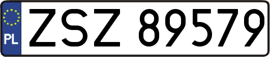 ZSZ89579