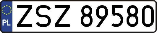 ZSZ89580