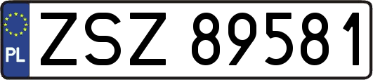 ZSZ89581