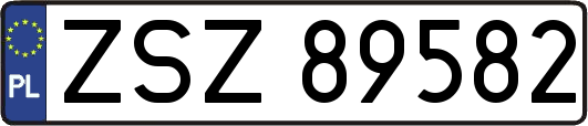 ZSZ89582