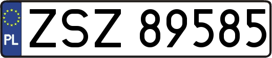 ZSZ89585