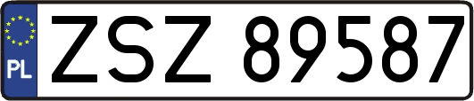 ZSZ89587