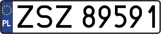ZSZ89591