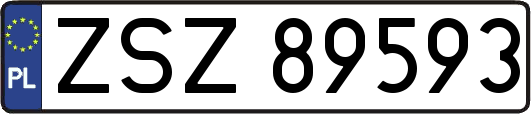 ZSZ89593