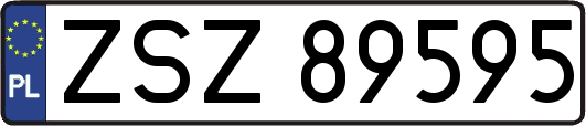 ZSZ89595