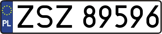 ZSZ89596