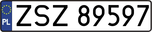 ZSZ89597