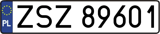 ZSZ89601