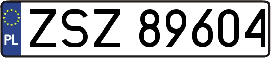 ZSZ89604