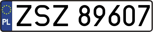 ZSZ89607