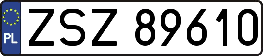 ZSZ89610
