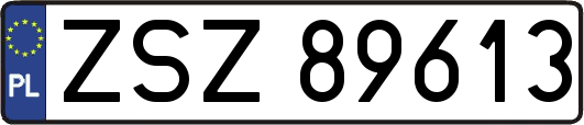 ZSZ89613