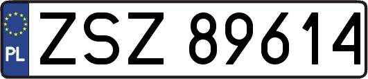 ZSZ89614