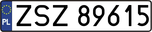 ZSZ89615