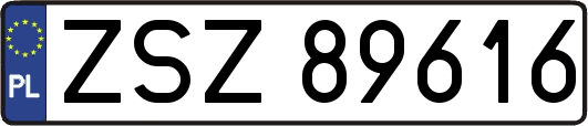 ZSZ89616