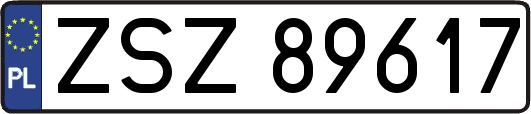 ZSZ89617