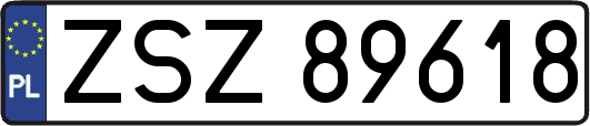 ZSZ89618