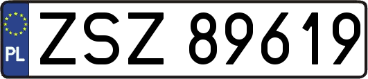 ZSZ89619