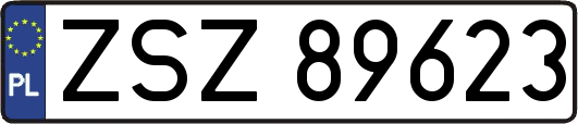 ZSZ89623