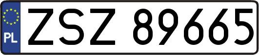 ZSZ89665