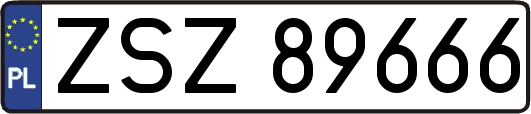 ZSZ89666