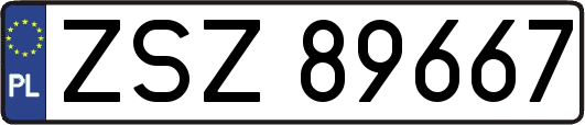ZSZ89667
